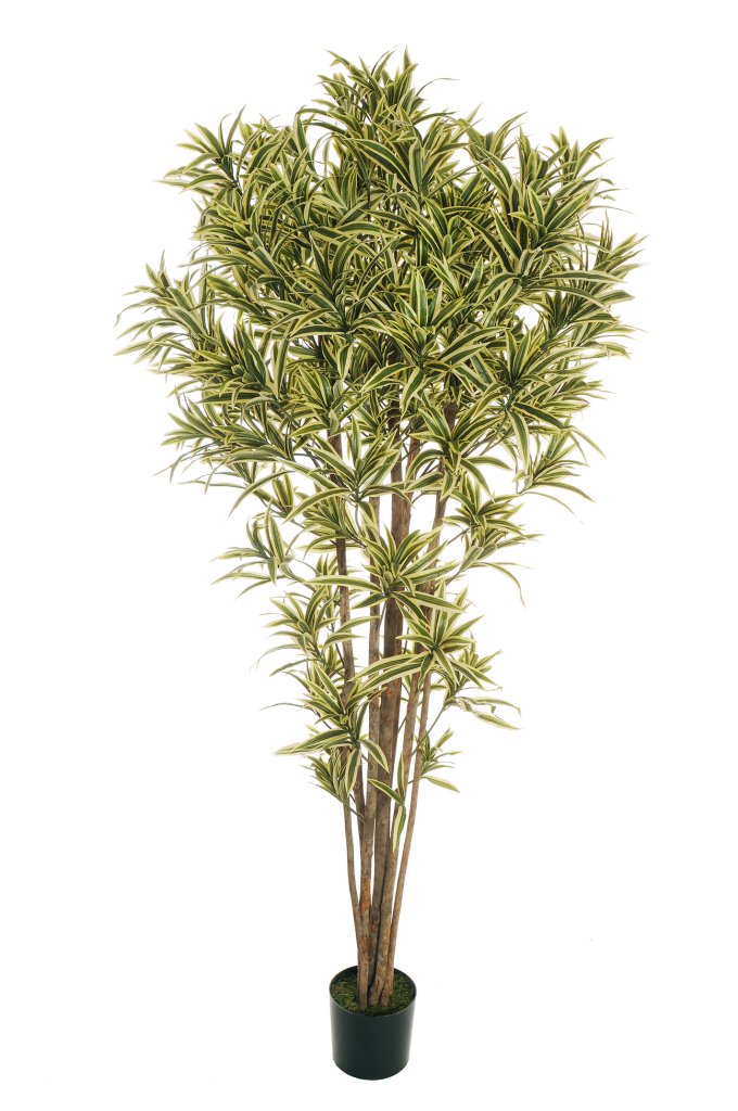 Feuillazur Dracaena plante artificielle vert 81cm