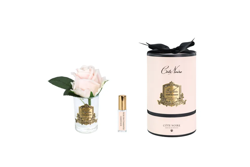 Côte Noire Perfumed Flowers RMR55 fleur parfumée rose champagne