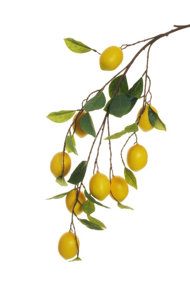 Feuillazur Rungis Branche de 9 citrons artificiel jaune 110cm salon