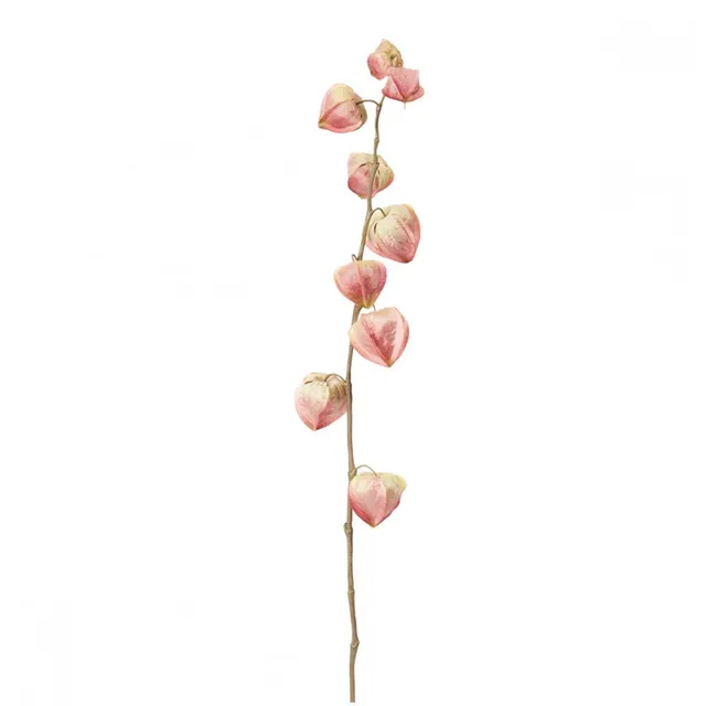 Sia Home Physalis Marly tige artificielle rose 54 cm