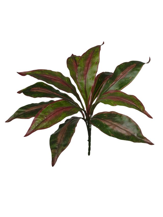 Feuillazur Rungis Piquet de dracena feuillage 40 cm vert rouge