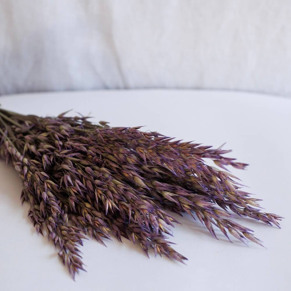 Flowrette Avoine Violet fleurs séchées botte x1 violet
