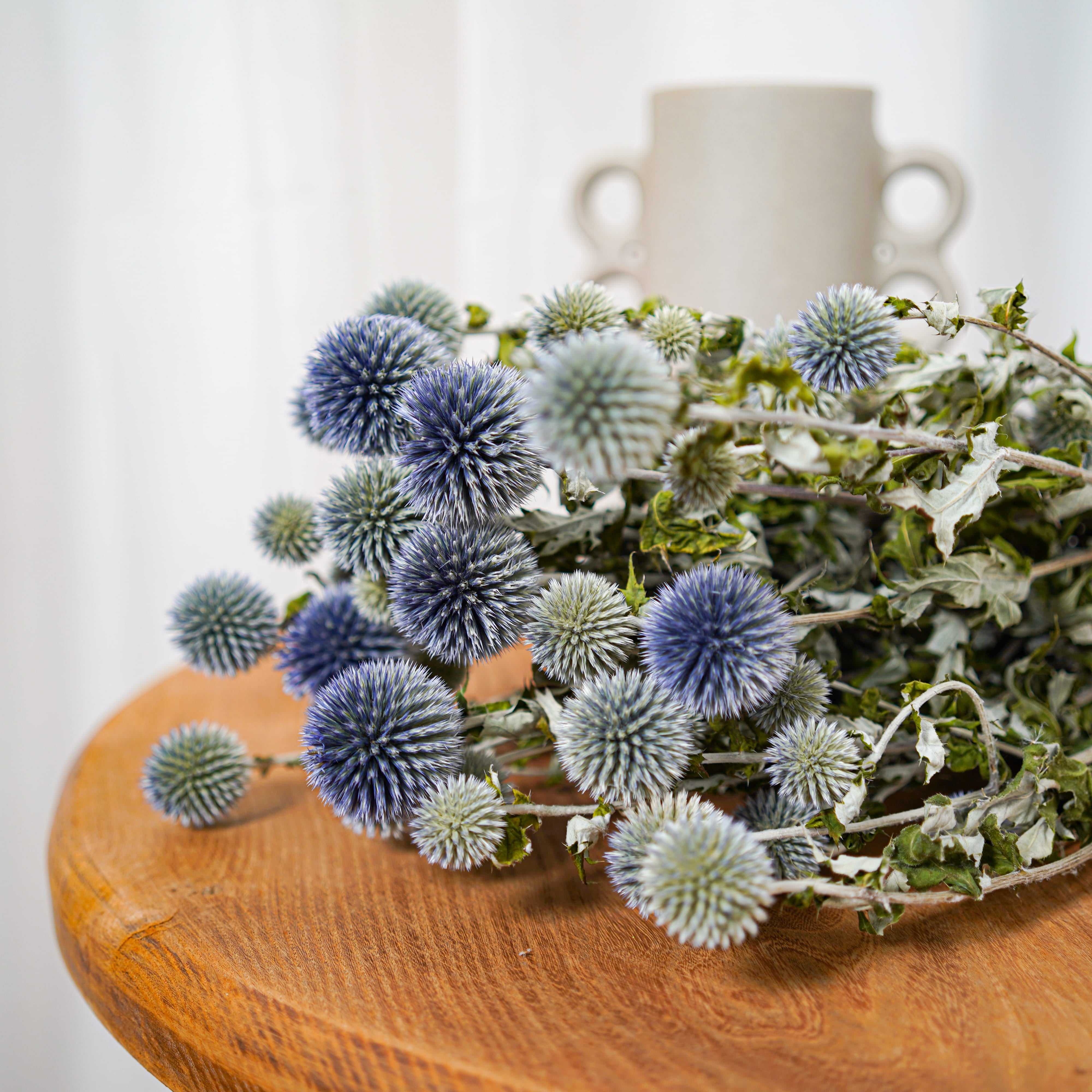 Flowrette Fleurs séchées Botte Echinops bleu x1