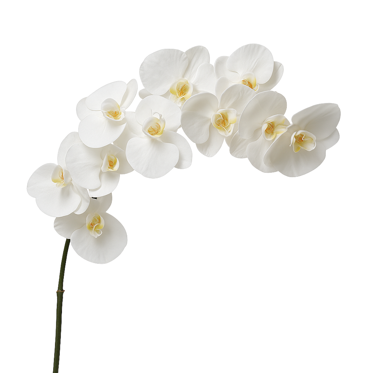 Sia Home Orchidée Premium tige artificielle blanche 86 cm