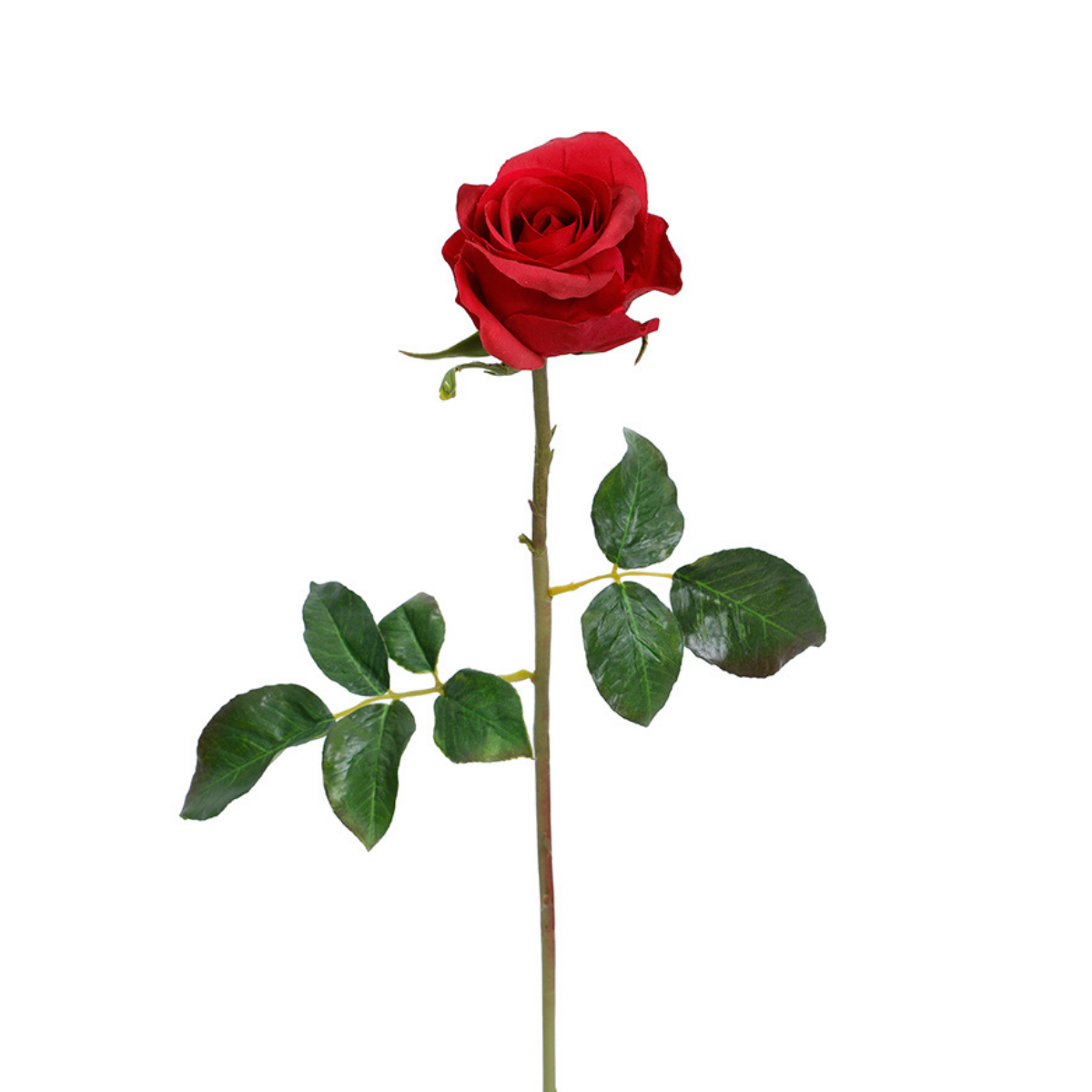 Sia Home Dutchess tige rose 50 cm rouge premium