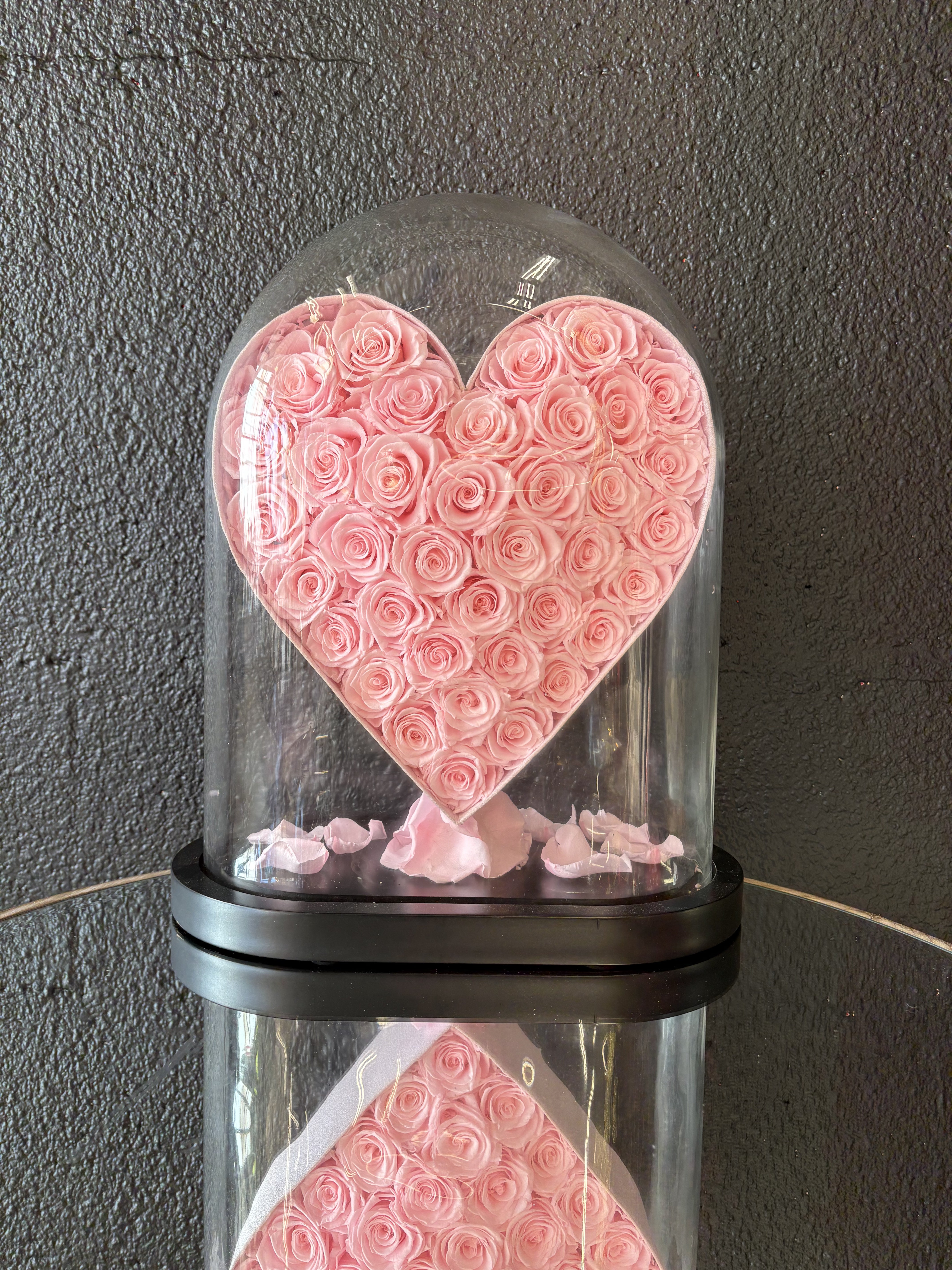 Feuillazur Rungis Produits de saison Coeur sous cloche roses stabilisées rouge 40 cm