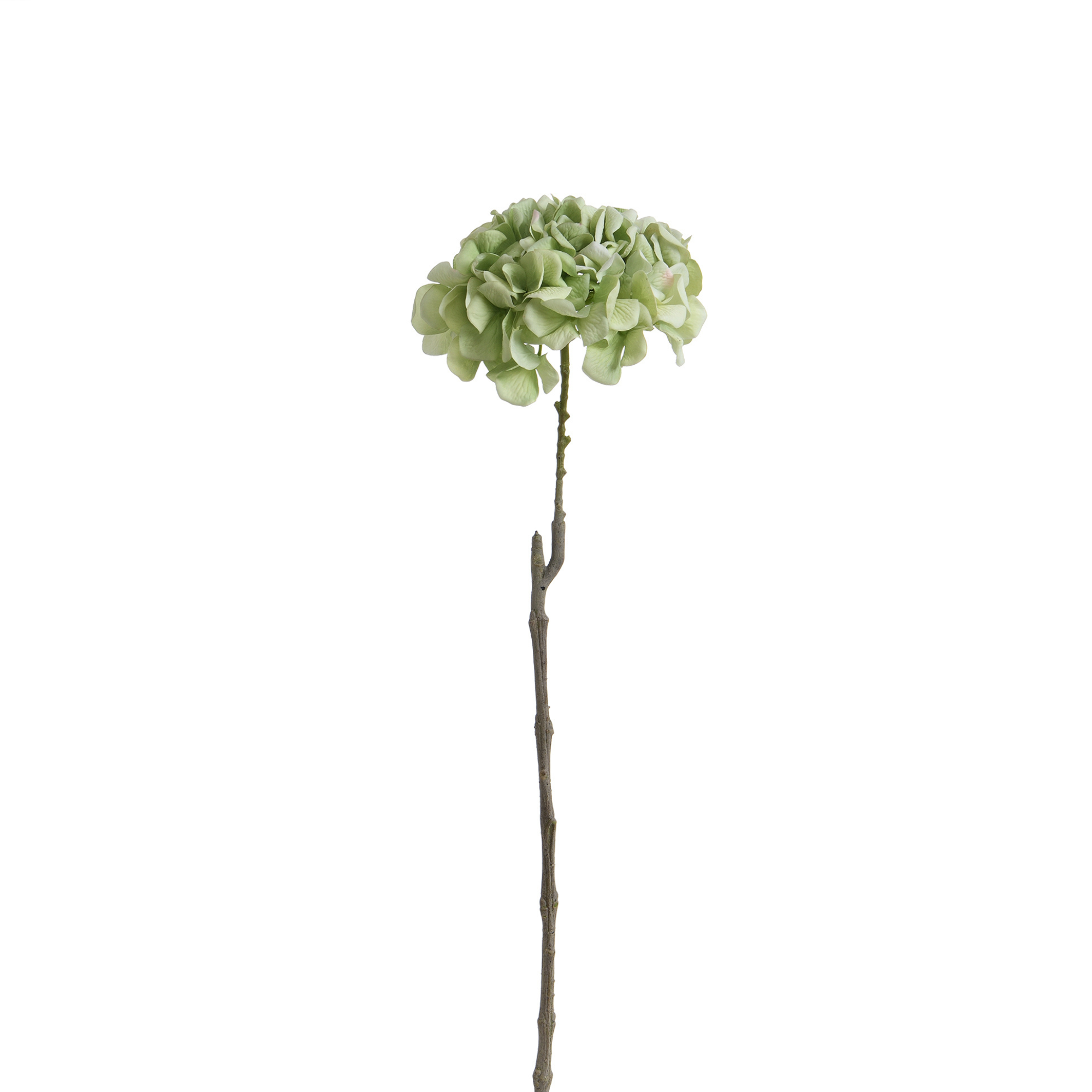 Sia Home Tiges Hortensia 63 cm fleur artificielle vert