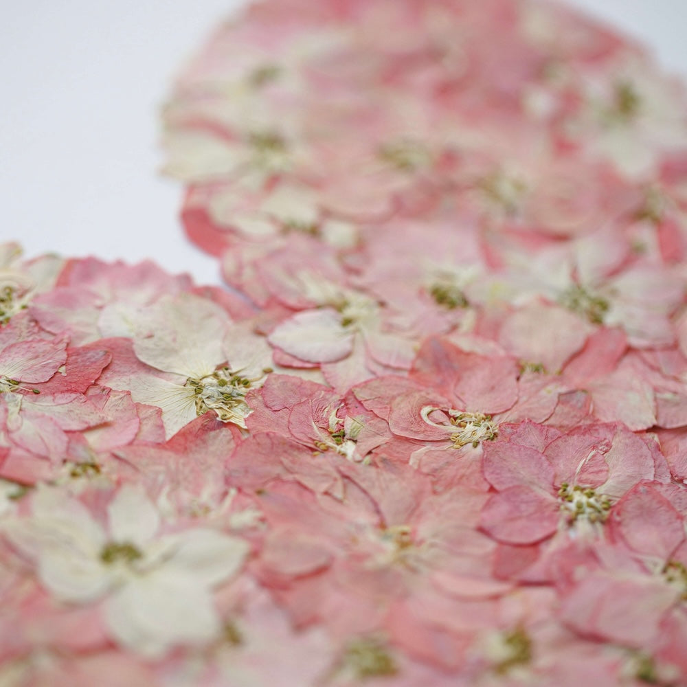 Flowrette L'amour toujours herbier A4 fleurs pressées