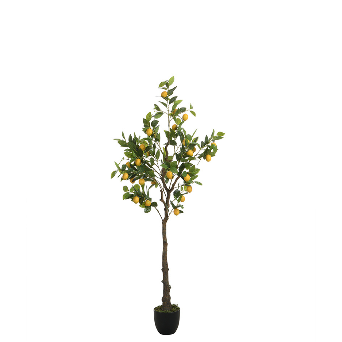 Sia Home Arbres citronnier artificiel en pot vert 160 cm