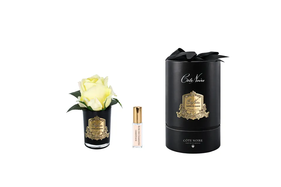 Côte Noire Perfumed Flowers bouton rose jaune fleur parfumée verre noir