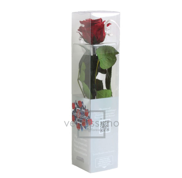 Feuillazur Rungis Mini Rose Stabilisée Rouge 26cm