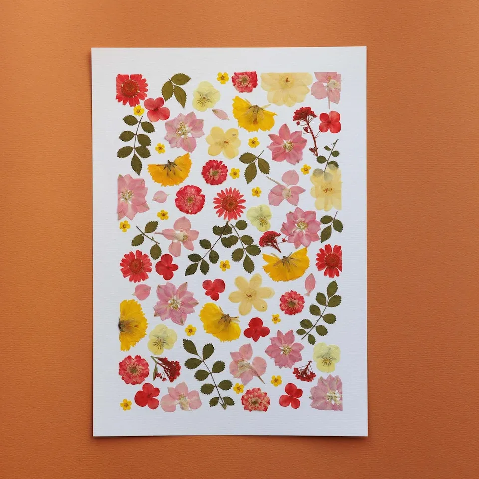 Flowrette Jardin de Douceur herbier fleurs séchées A4