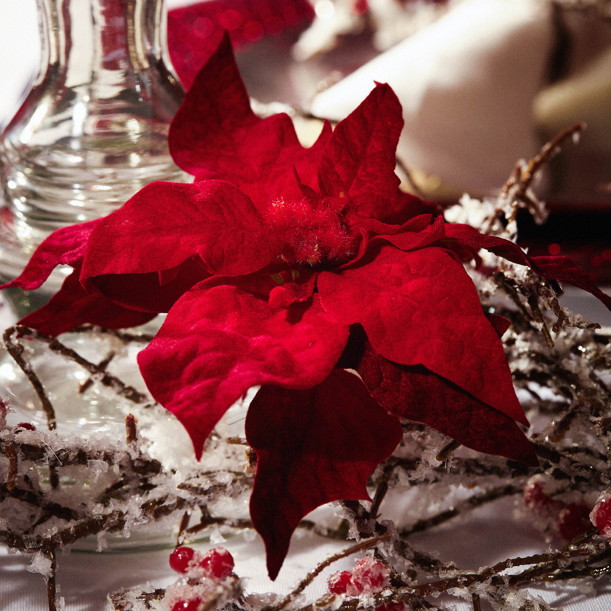 Sia Home Baies Poinsettias set 4 ornement Noël clip