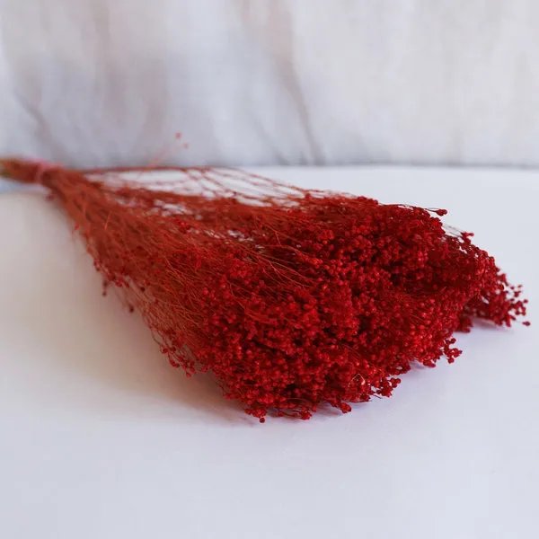 Flowrette Broom Bloom botte fleurs séchées rouge vaporeux