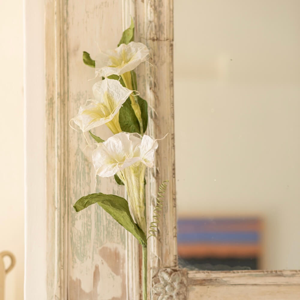 Flowrette Fleurs en papier Morning Glory blanc vert fleur papier x1