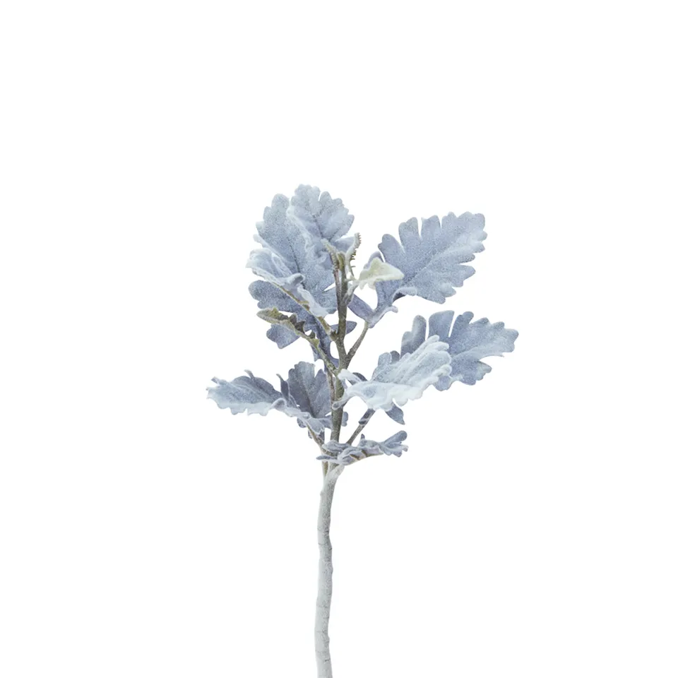Sia Home Dusty Miller tige feuillage vert 30 cm