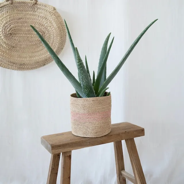 Flowrette Décoration Cache-pot raphia Anja panier 14 cm