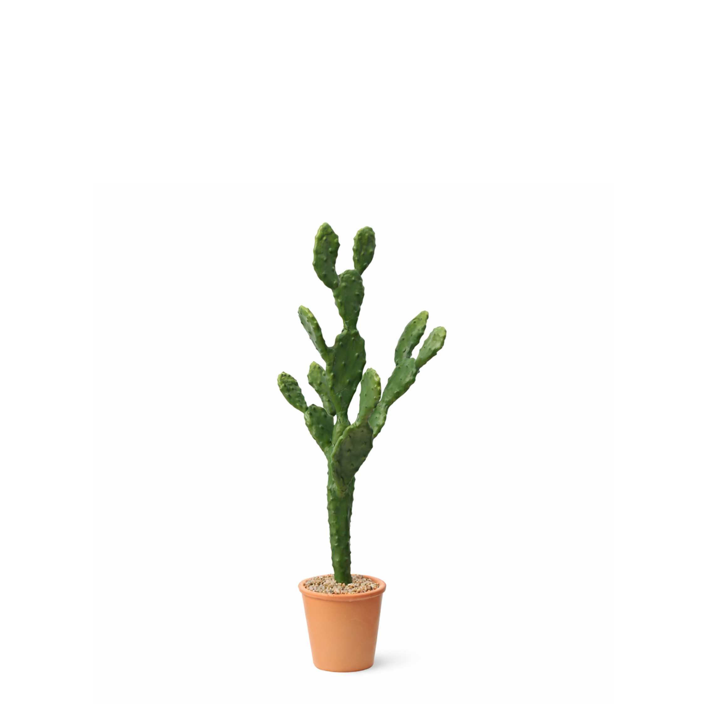 Sia Home Plantes artificielles en Pot Cactus 78 cm vert