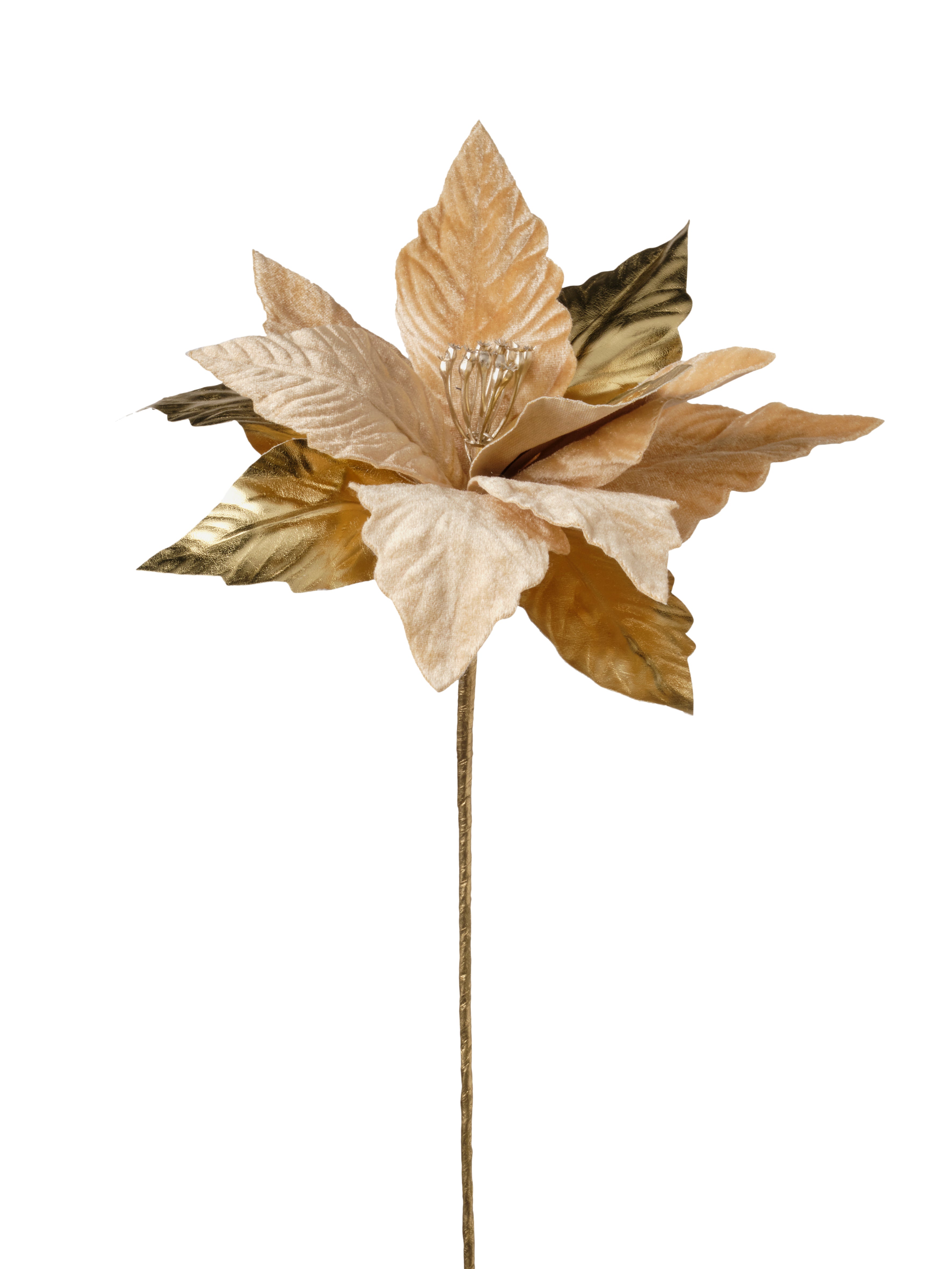 Feuillazur Rungis Saison Tige poinsettia fleur bordeaux 67cm