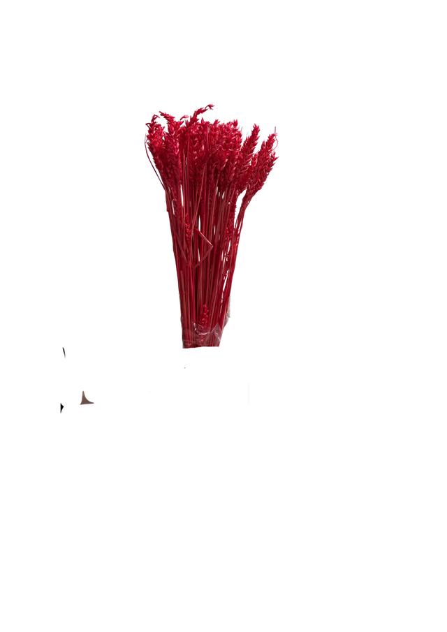 Feuillazur Rungis Séchés et Stabilisés Blé fleur séchée naturel 60cm