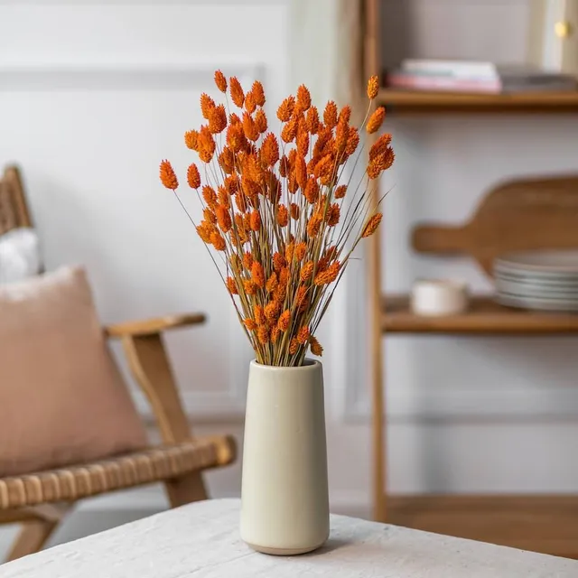 Flowrette Fleurs séchées Botte Phalaris orange x1