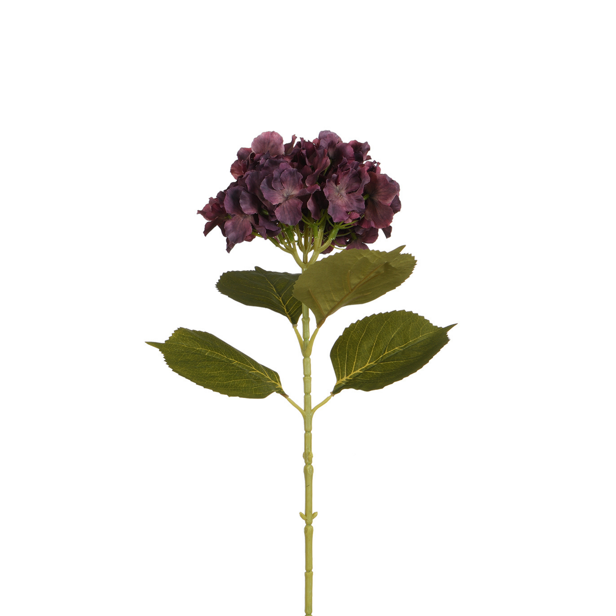 Sia Home Hortensia 68 cm fleur artificielle marron