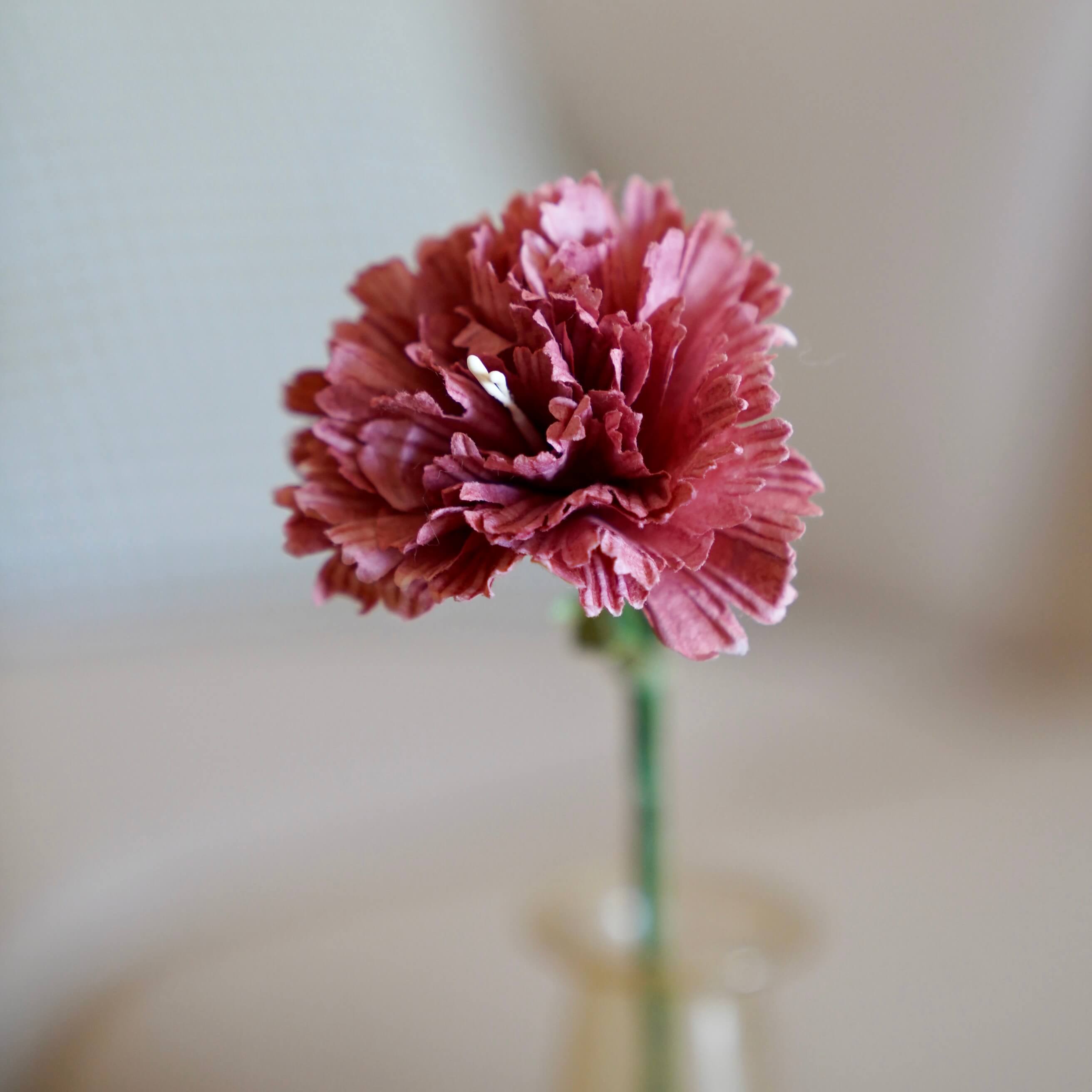 Flowrette Oeillet fleur papier terracotta x1 romantique