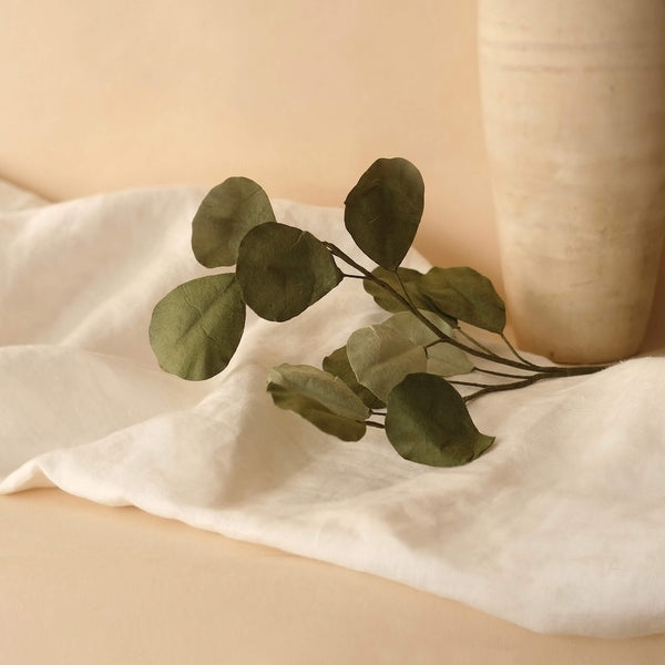 Flowrette Eucalyptus Populus papier vert mixte unité