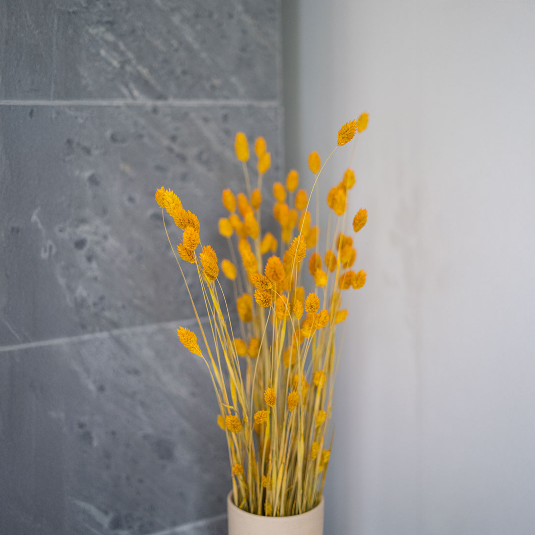 Flowrette Fleurs séchées Phalaris botte jaune x1