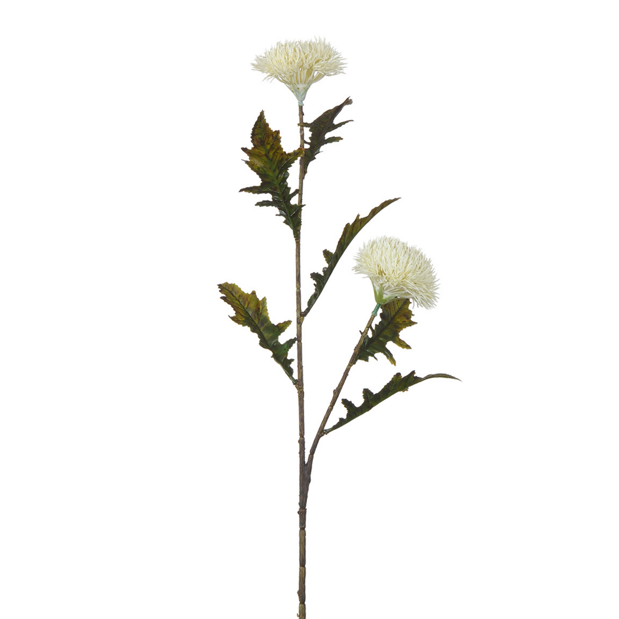 Sia Home Chardon tige fleur artificielle blanc 78 cm