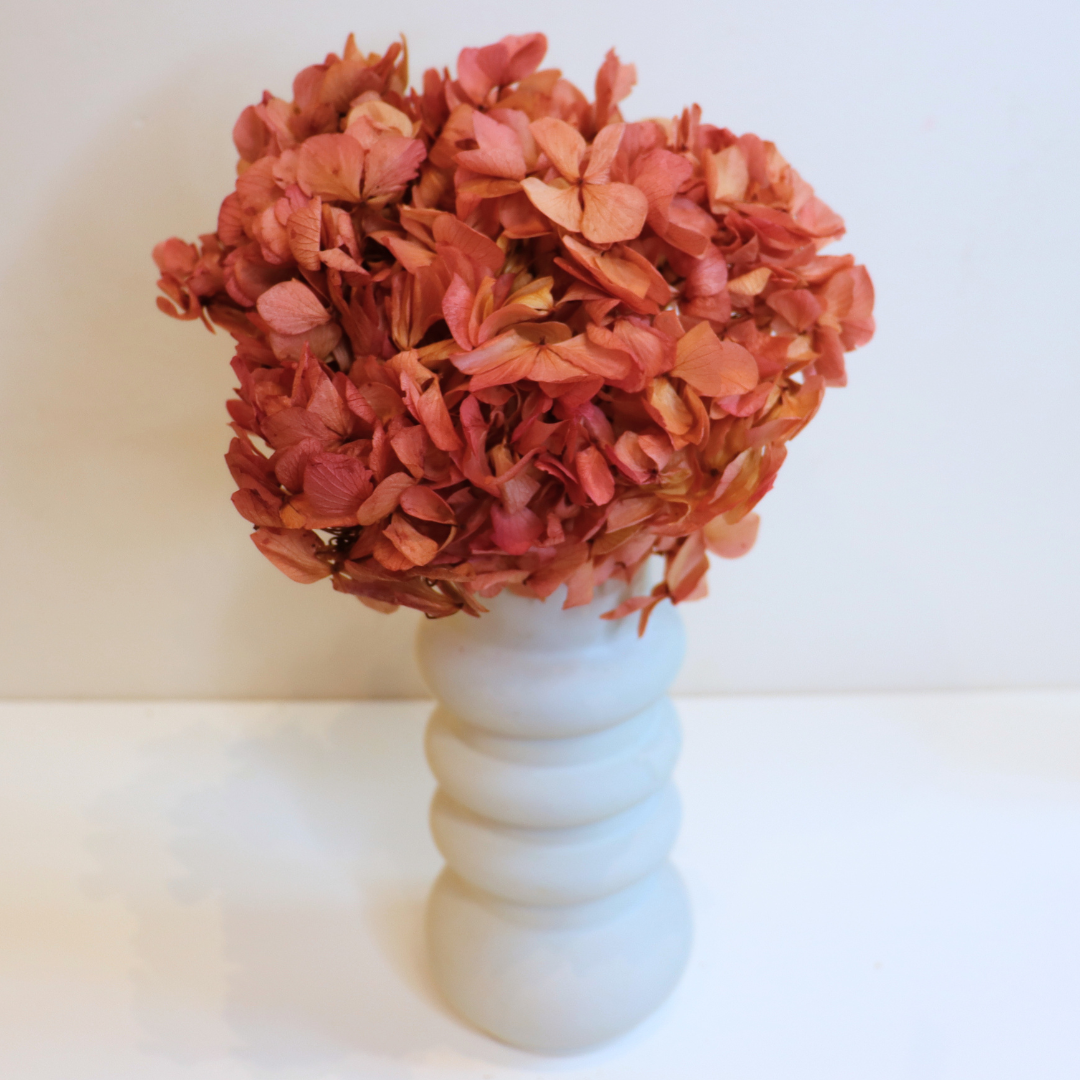 Ateliers Ouchamp Tête Hortensia bicolore blanc rose