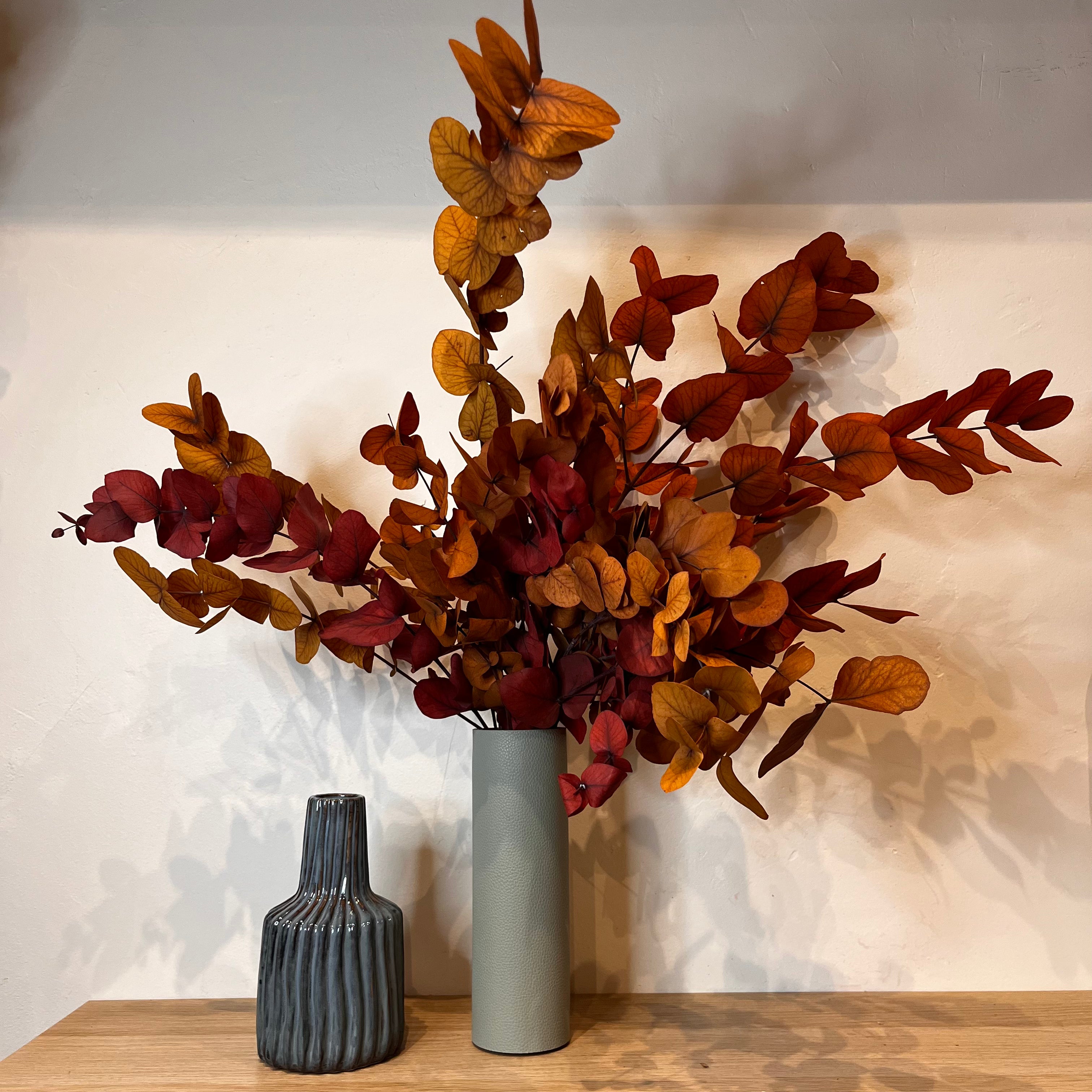 Ateliers Ouchamp Bottes Eucalyptus Cinerea stabilisé vert