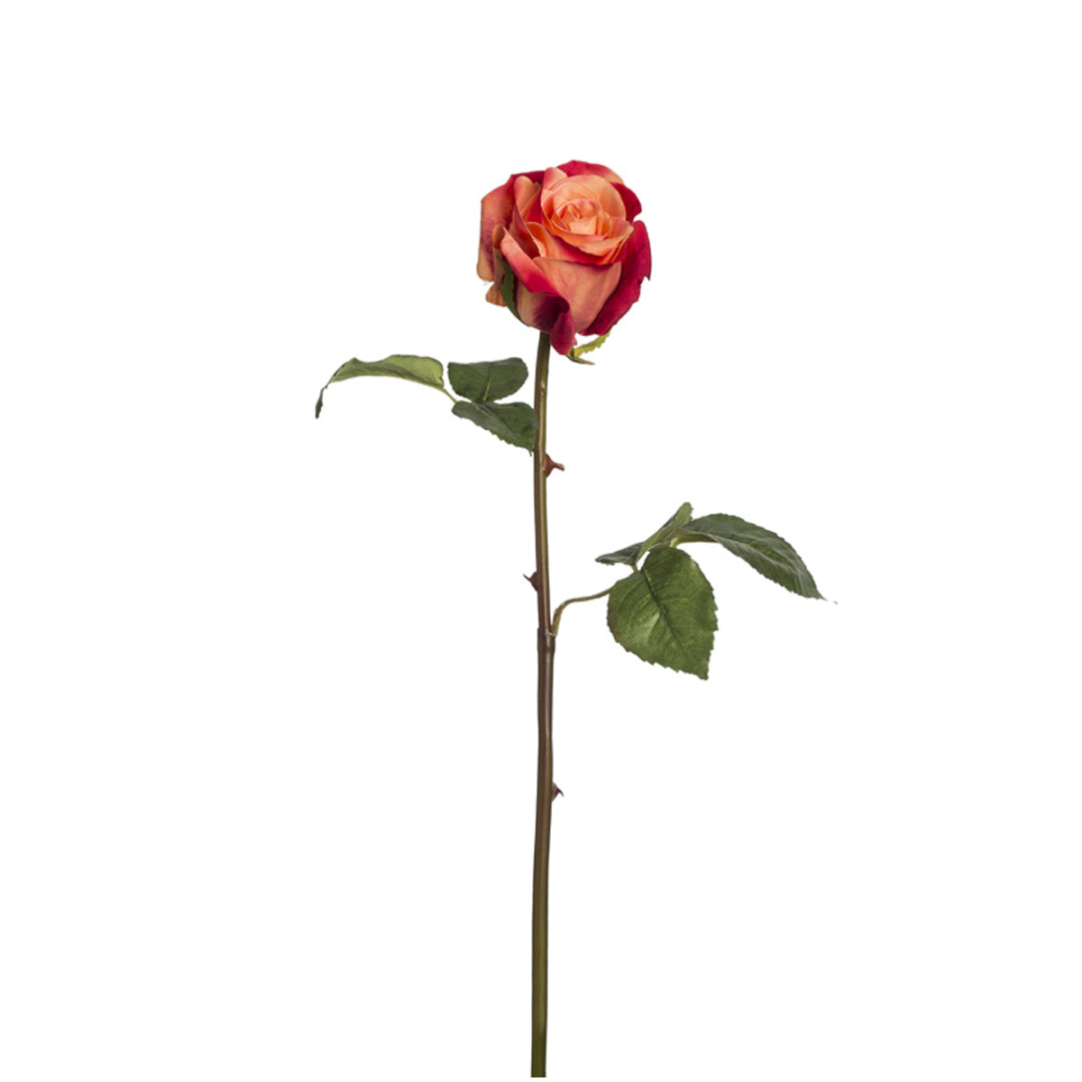 Sia Diane tige rose artificielle 53 cm crème