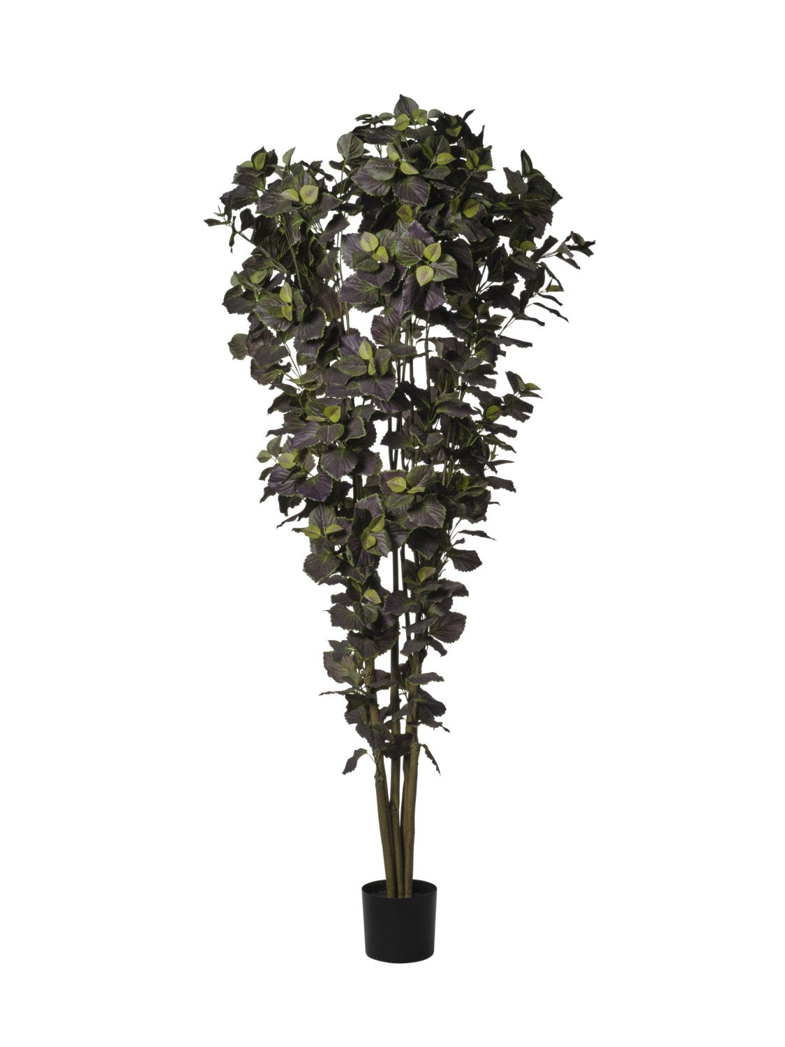 Feuillazur Rungis Perrilla plante artificielle verte 150cm