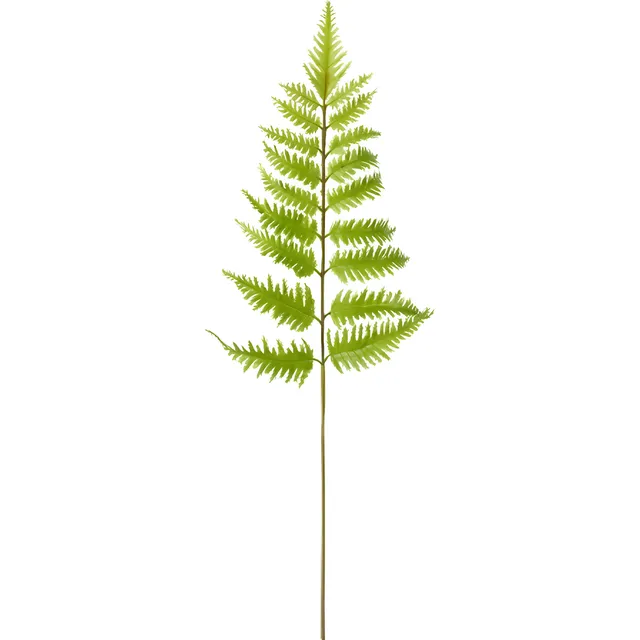 Sia Home feuillage fougère artificielle vert 55 cm
