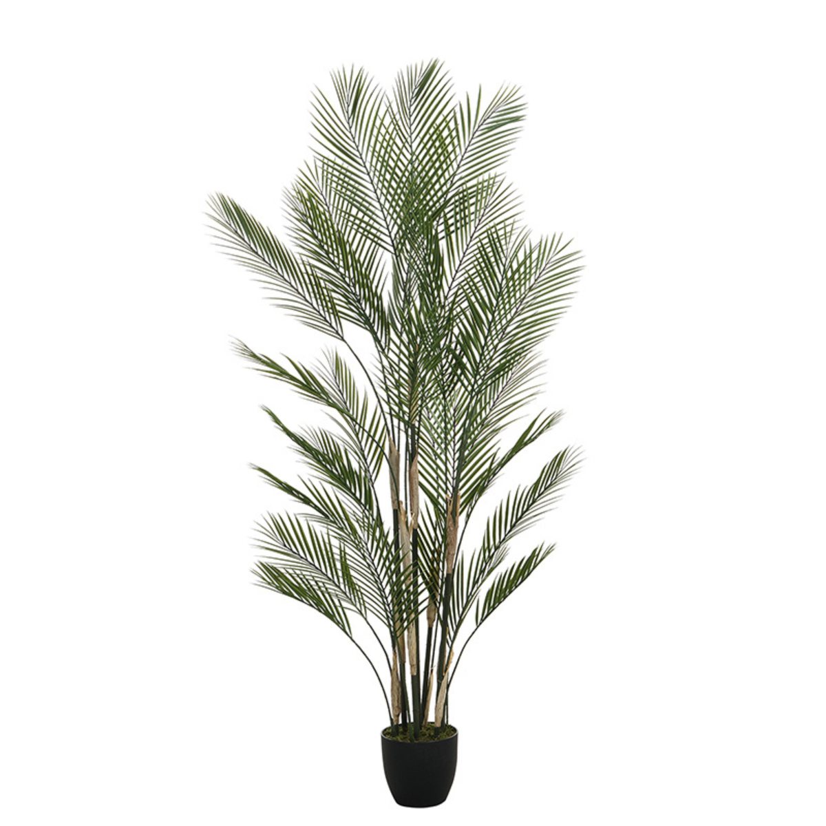 Sia Home Palmier Kwai arbre artificiel vert 180 cm