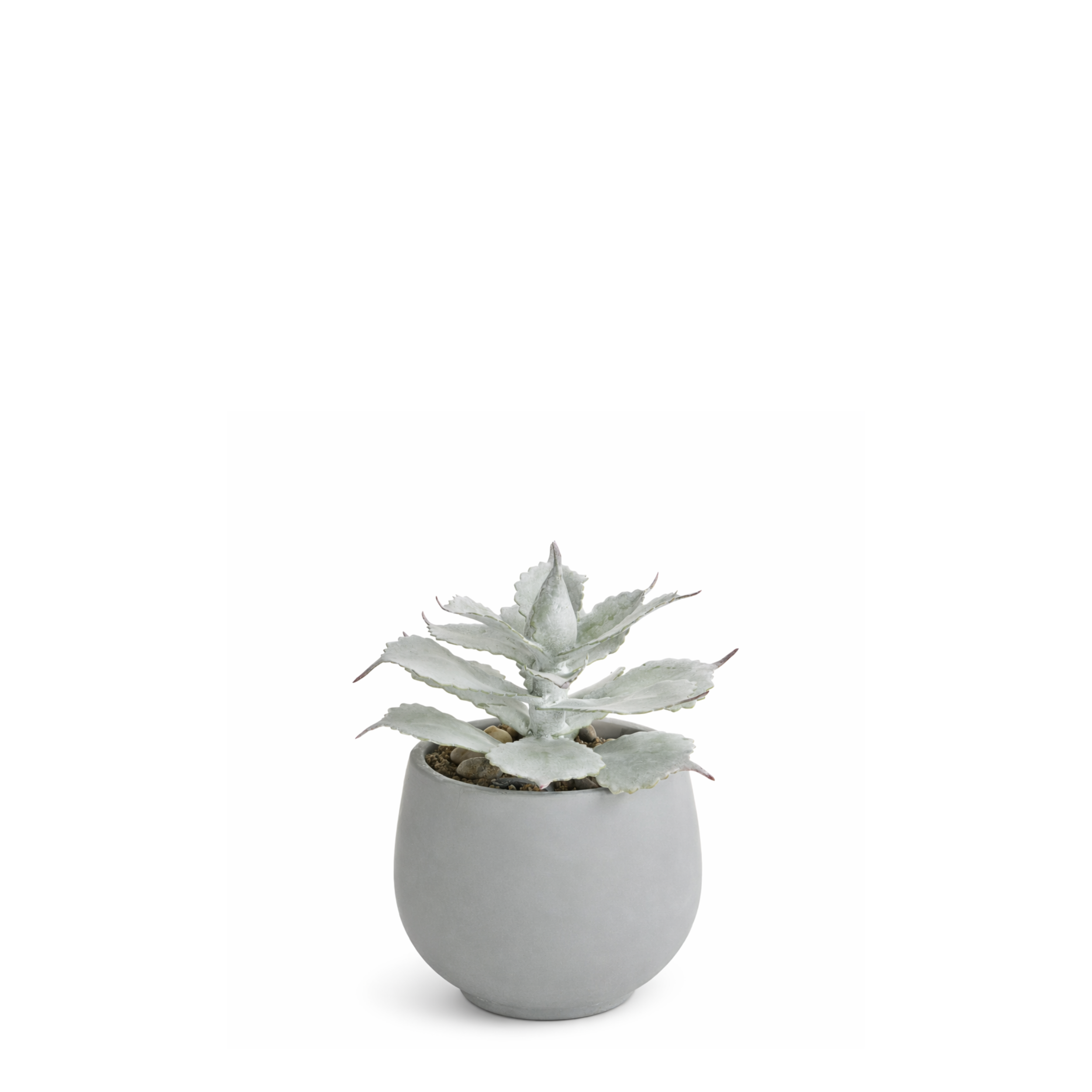 Sia Maya succulente artificielle rouge pot ciment 21 cm