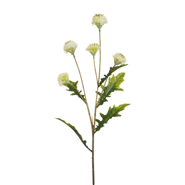 Sia Home Tiges Chrysanthème Ping Pong tige artificielle 62 cm