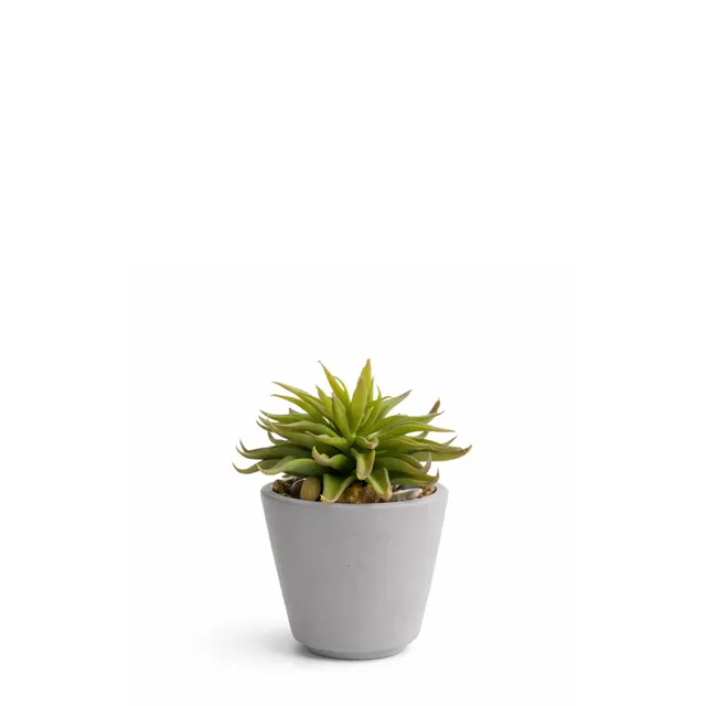 Sia Home Maya succulente artificielle verte pot 18 cm