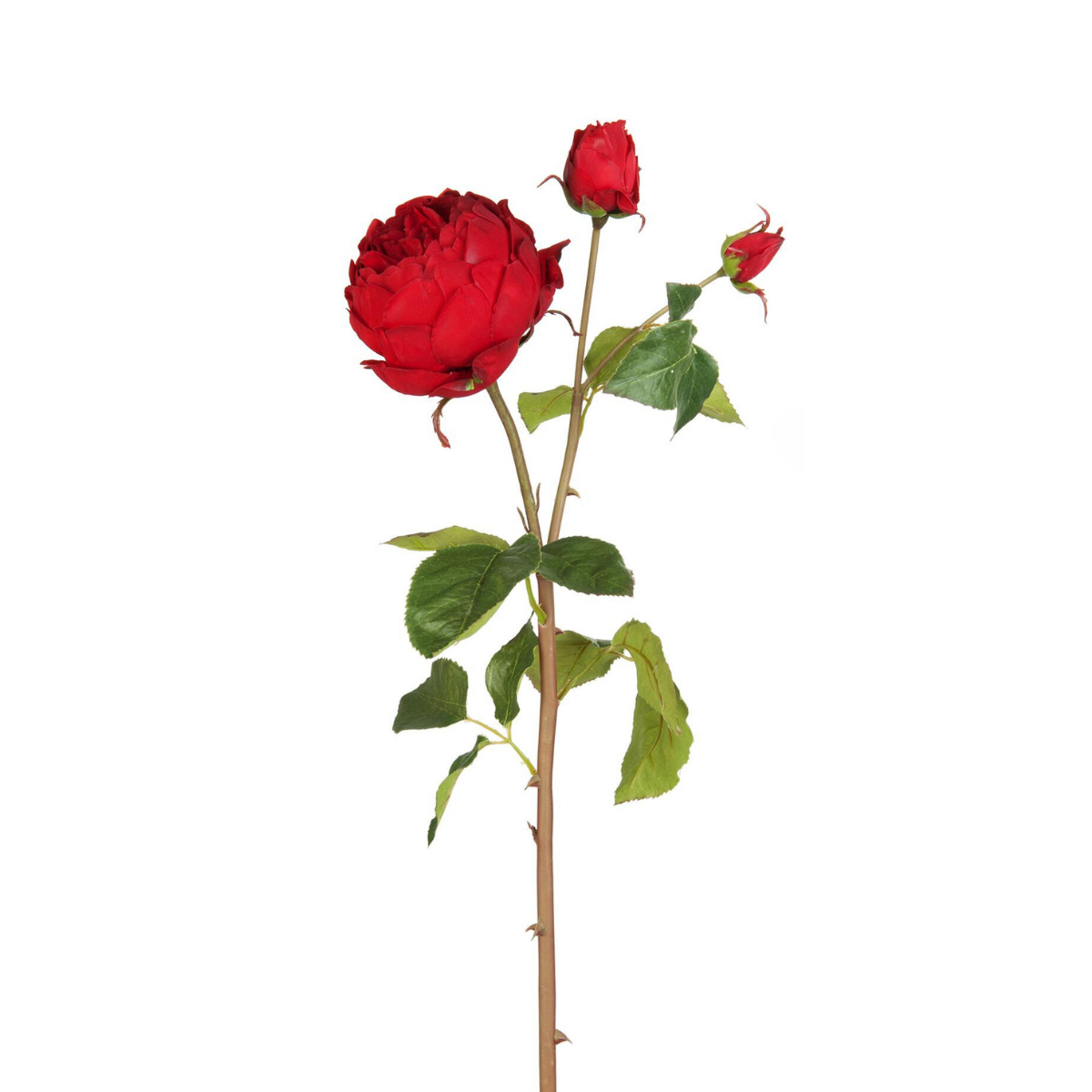 Sia Home Rose David fermée tige artificielle rose pâle 80 cm