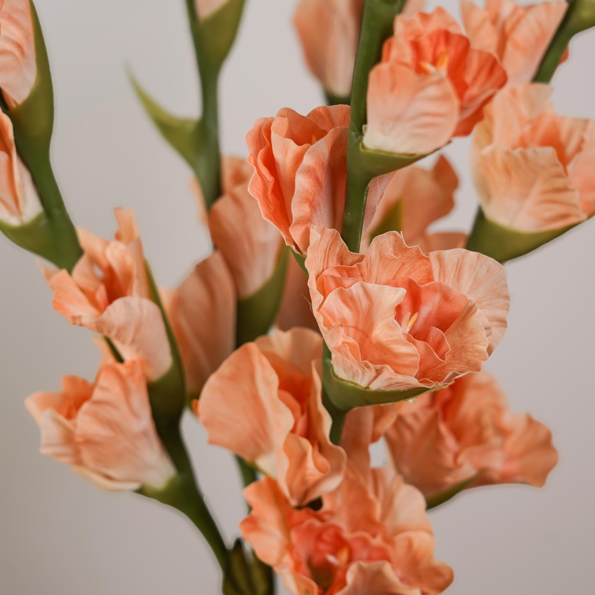 Flowrette Glaïeul artificiel abricot tige x1 charnu