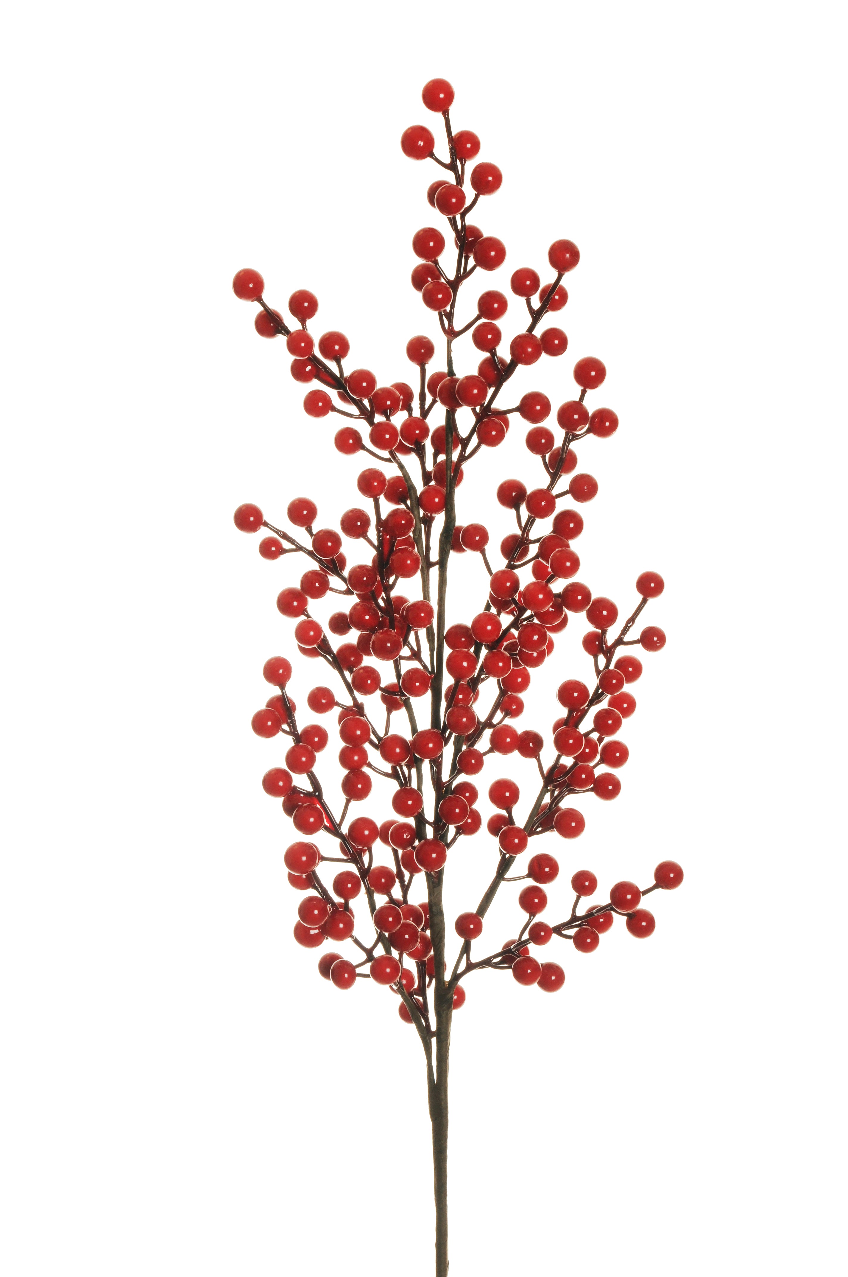 Feuillazur Rungis Produits de saison branche de baies rouge 46 cm