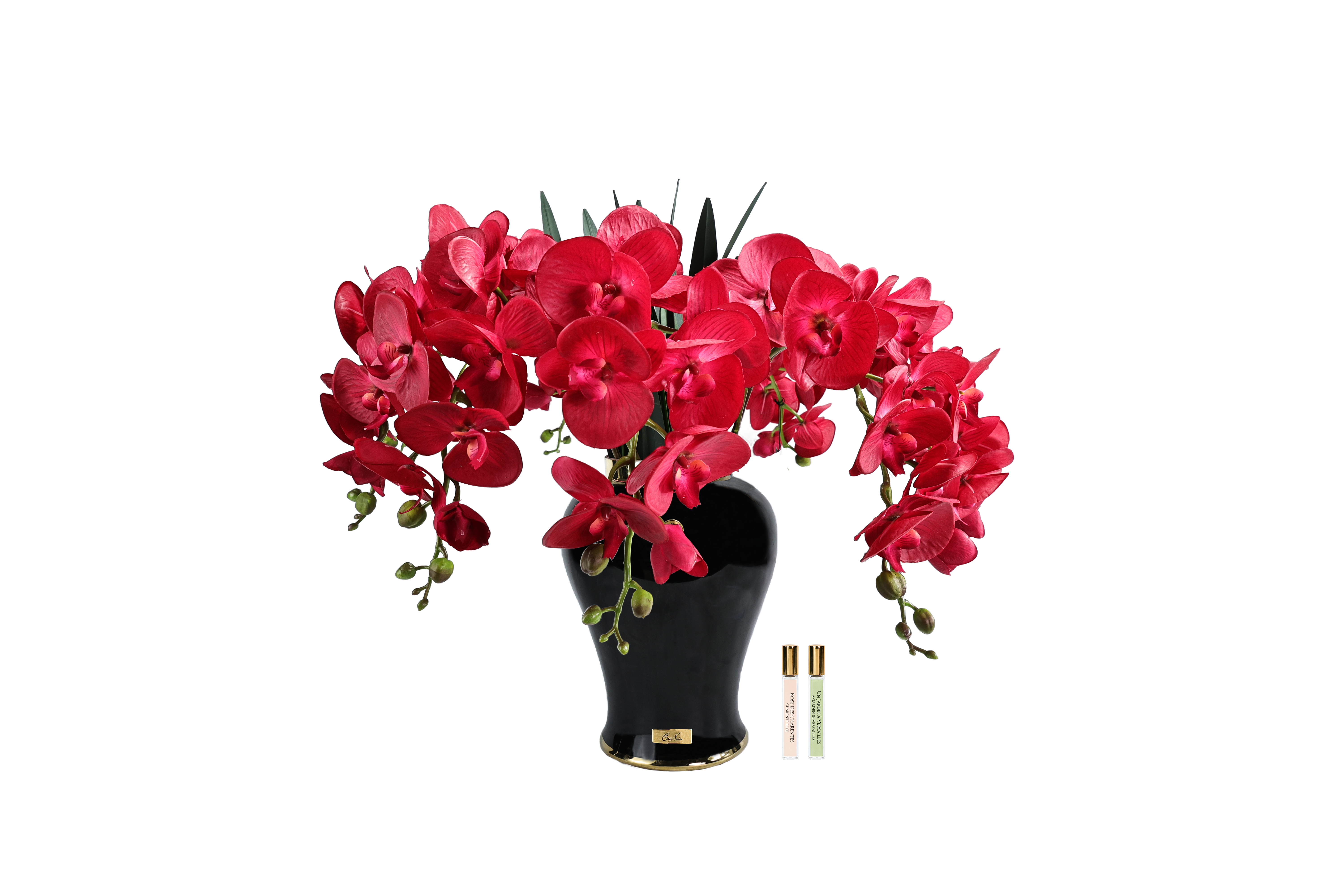 Côte Noire Imperial IMPO14 orchidée rouge écarlate