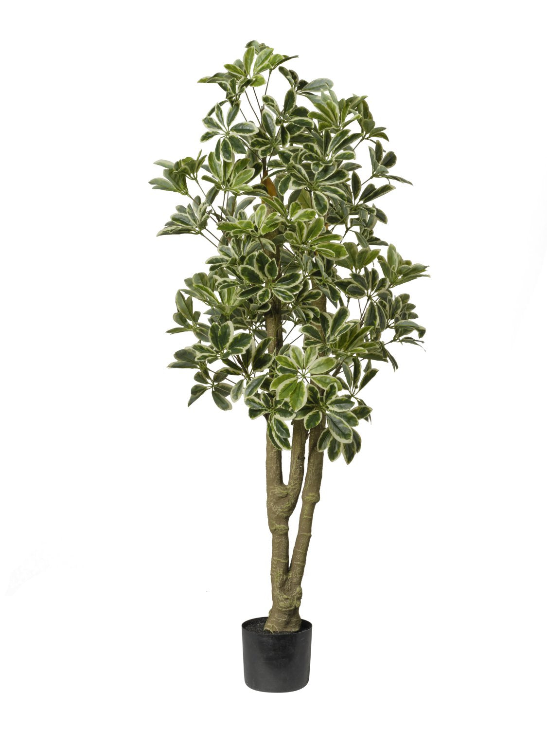 Feuillazur Rungis Schefflera plante artificielle verte