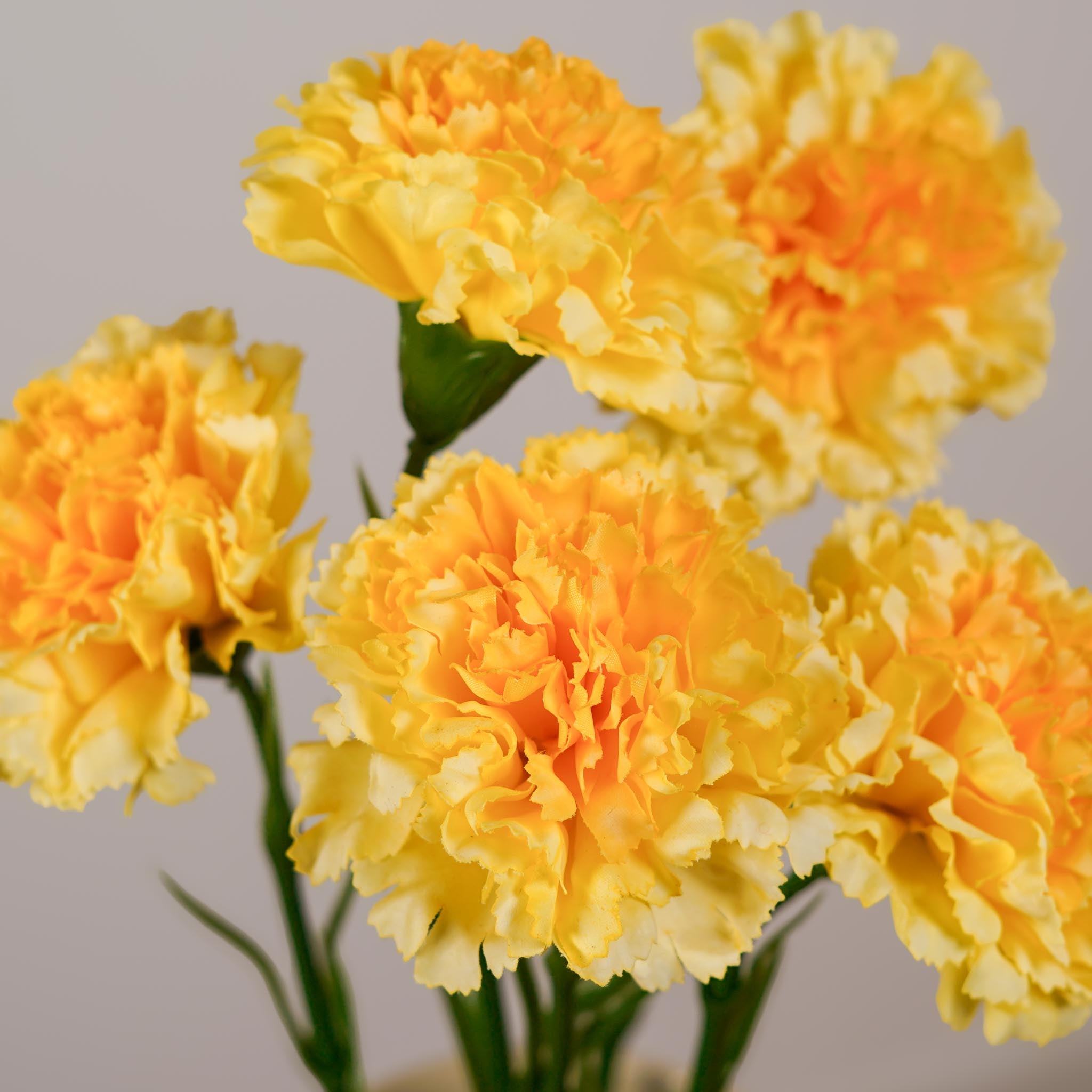 Flowrette Oeillet tige artificielle jaune x1 sans entretien