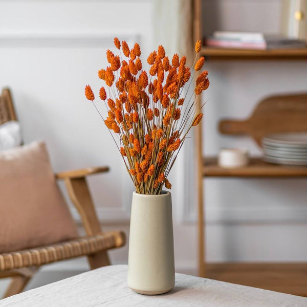 Flowrette Fleurs Séchées Phalaris botte orange rustique