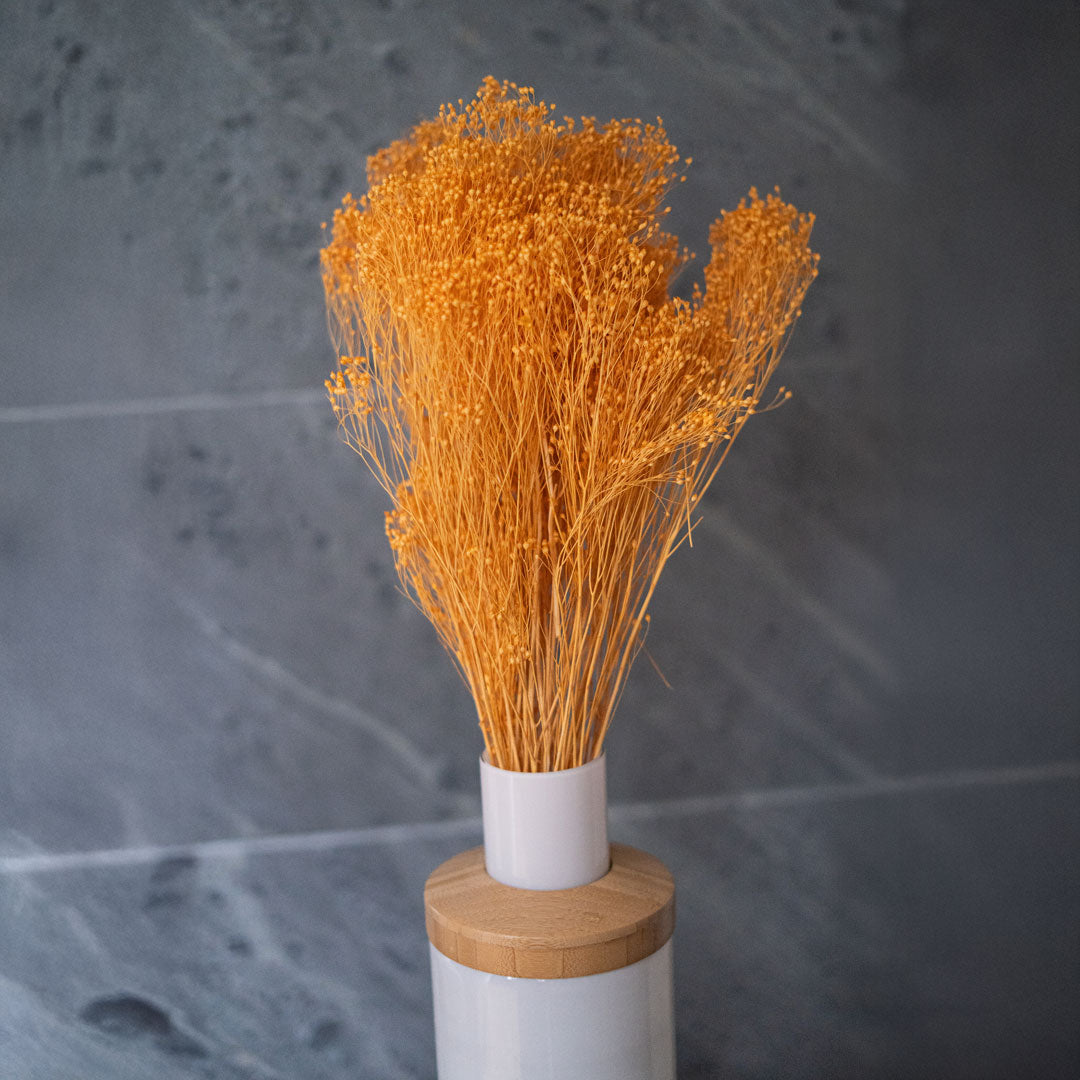 Flowrette Broom Bloom botte fleurs séchées terracotta