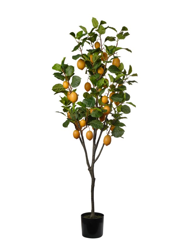 Feuillazur Rungis Citronnier plante artificielle 190cm