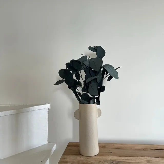 Flowrette Eucalyptus Populus botte stabilisée verte x1