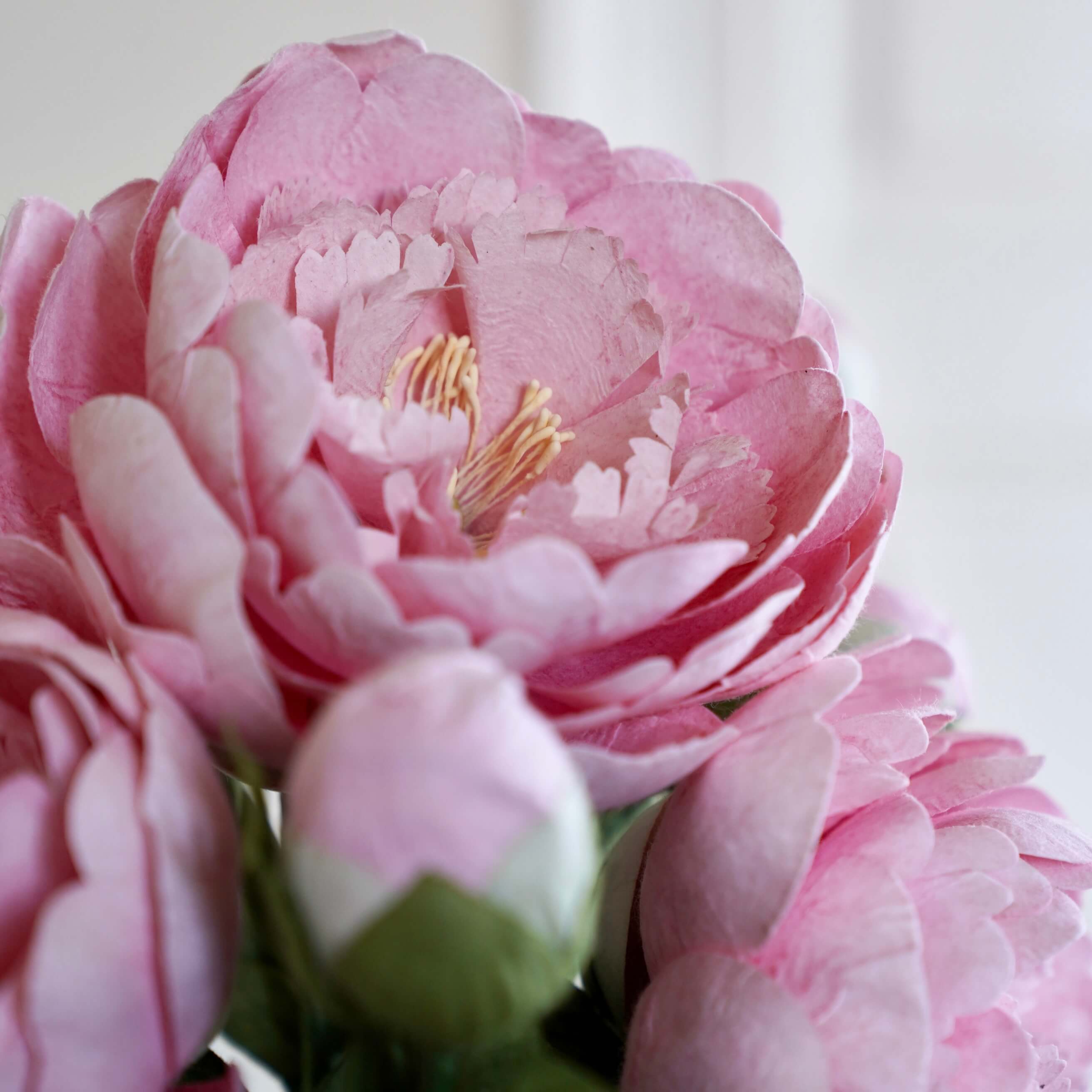 Flowrette Grande pivoine fleur papier rose clair x1